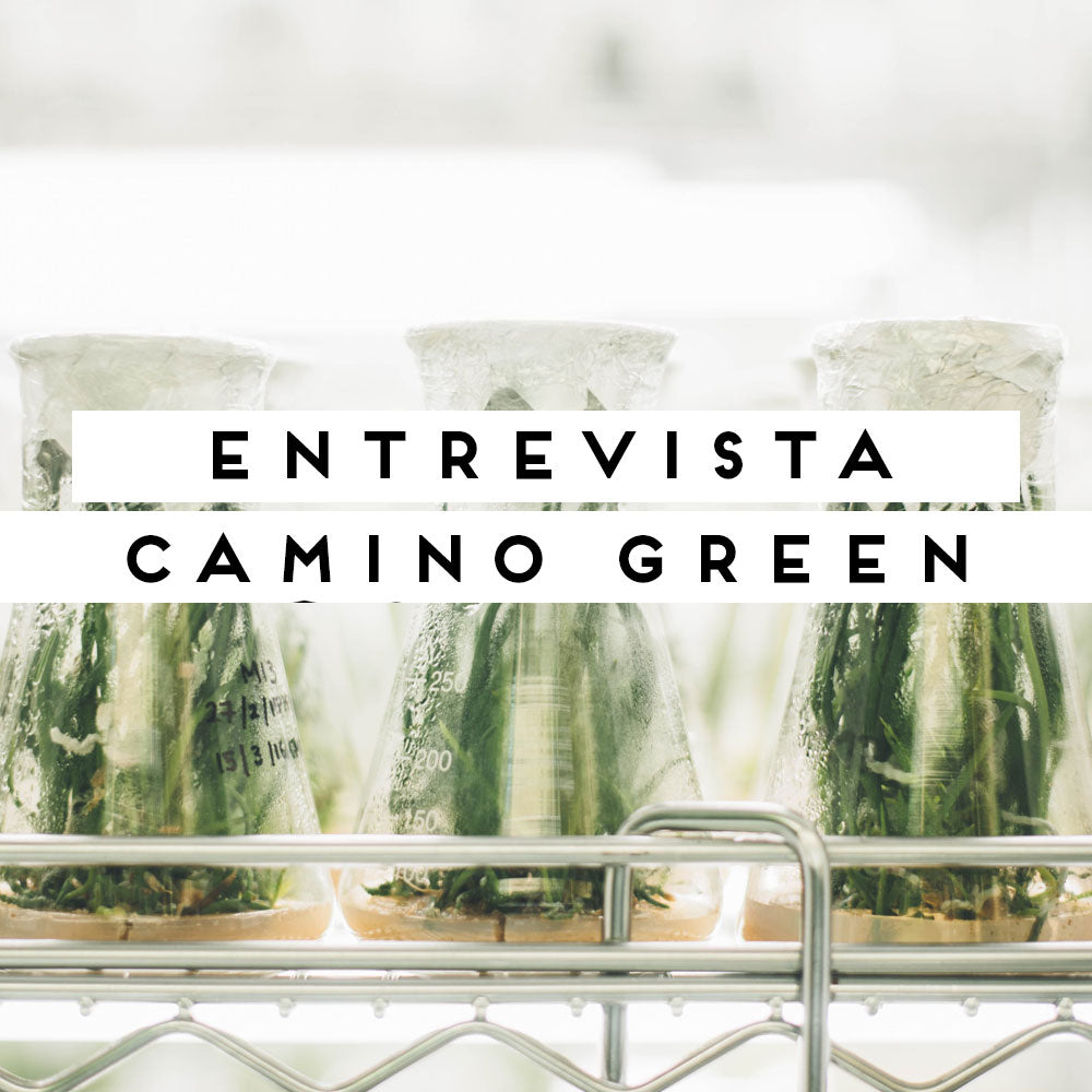 Entrevista Camino Green